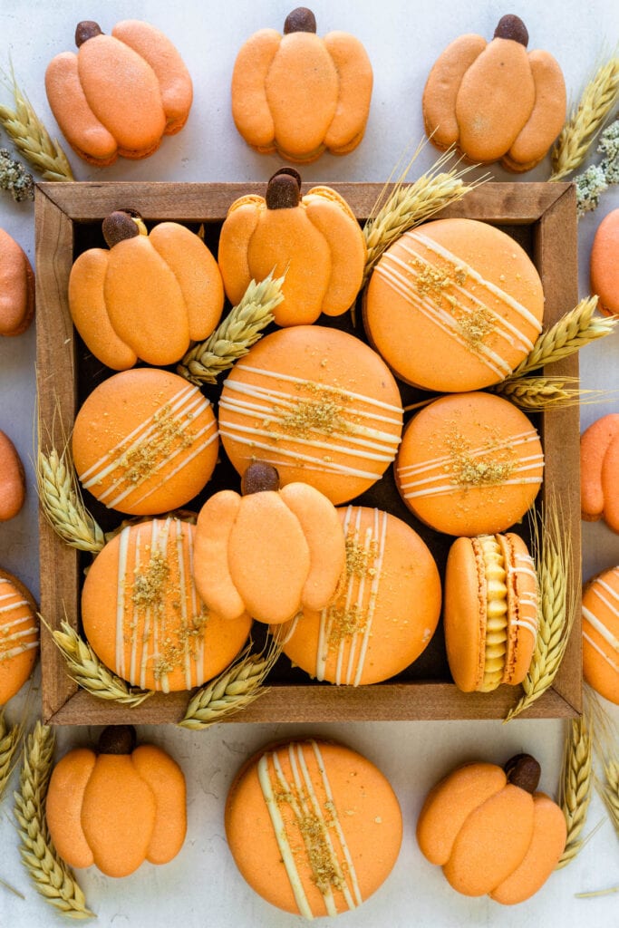 macarons shaped like pumpkins.