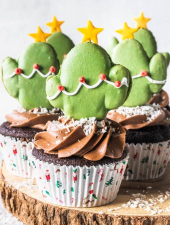 Chocolate Matcha Cupcakes with Matcha Cactus Macarons