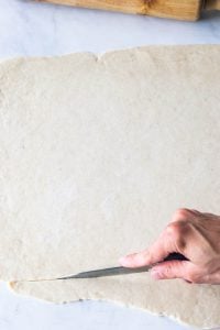 Vegan Cinnamon babka