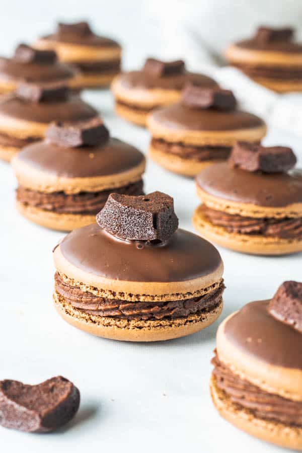 brownie macarons lined up