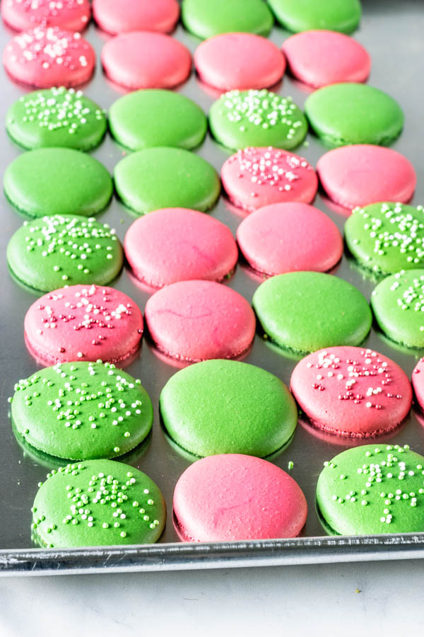 macaron shells two different colors