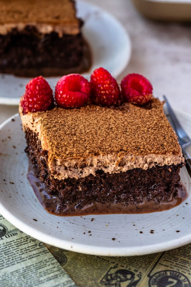 A slice of chocolate tres leches cake soaked in chocolate milk mixture, topped with fluffy cocoa whipped cream and fresh raspberries.
