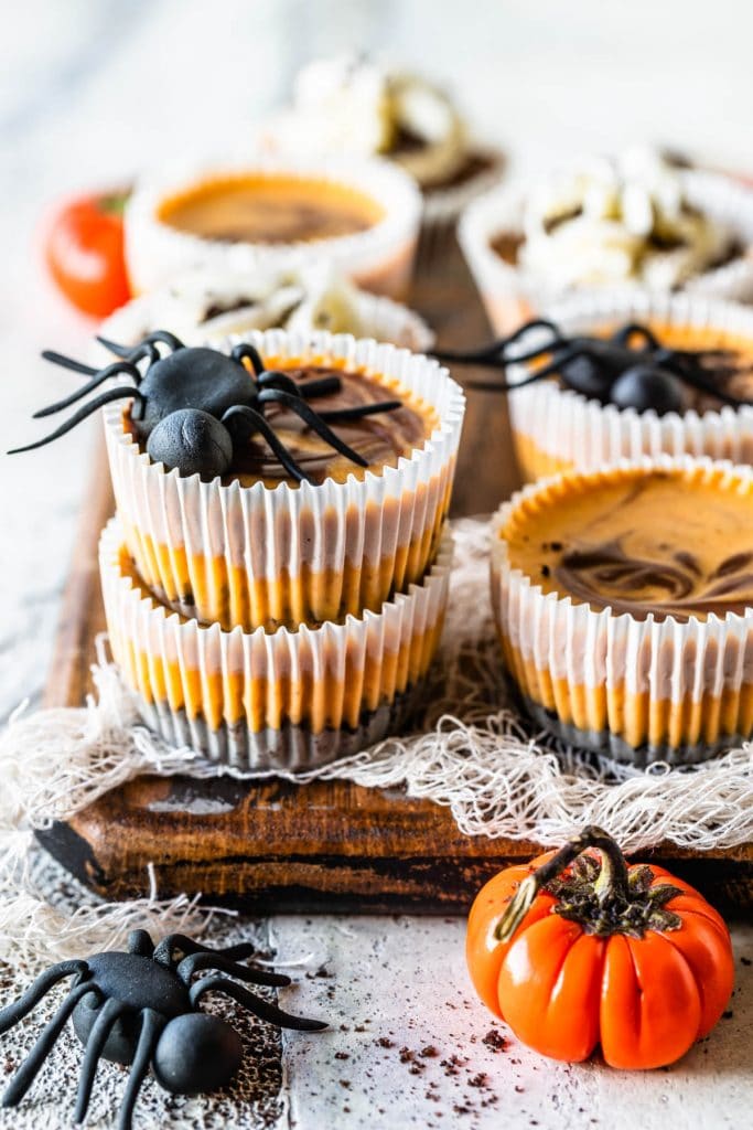 Chocolate Pumpkin Mini Cheesecakes stacked, with a fondant spider on top. Around there are pumpkins and more mini cheesecakes decorating. they are topped with oreo crumbs and the cheesecakes on the back are topped with whipped cream.