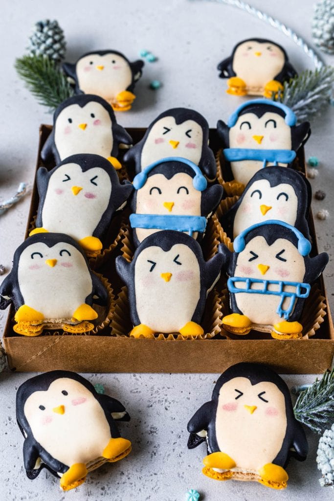 penguin macarons in a cookie box.