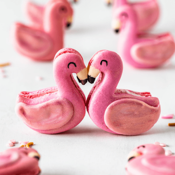 flamingo macarons.