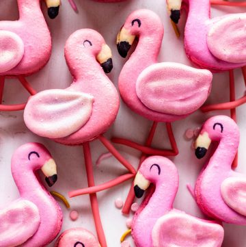 Flamingo Macarons.