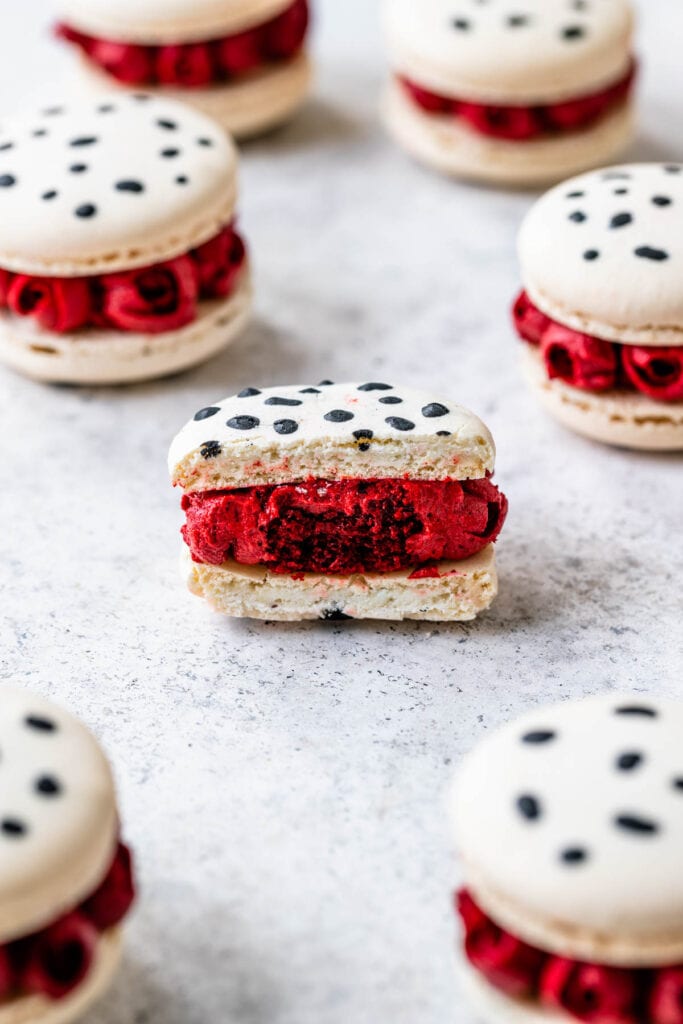 white macarons with black dalmatian spots on them and roses around.