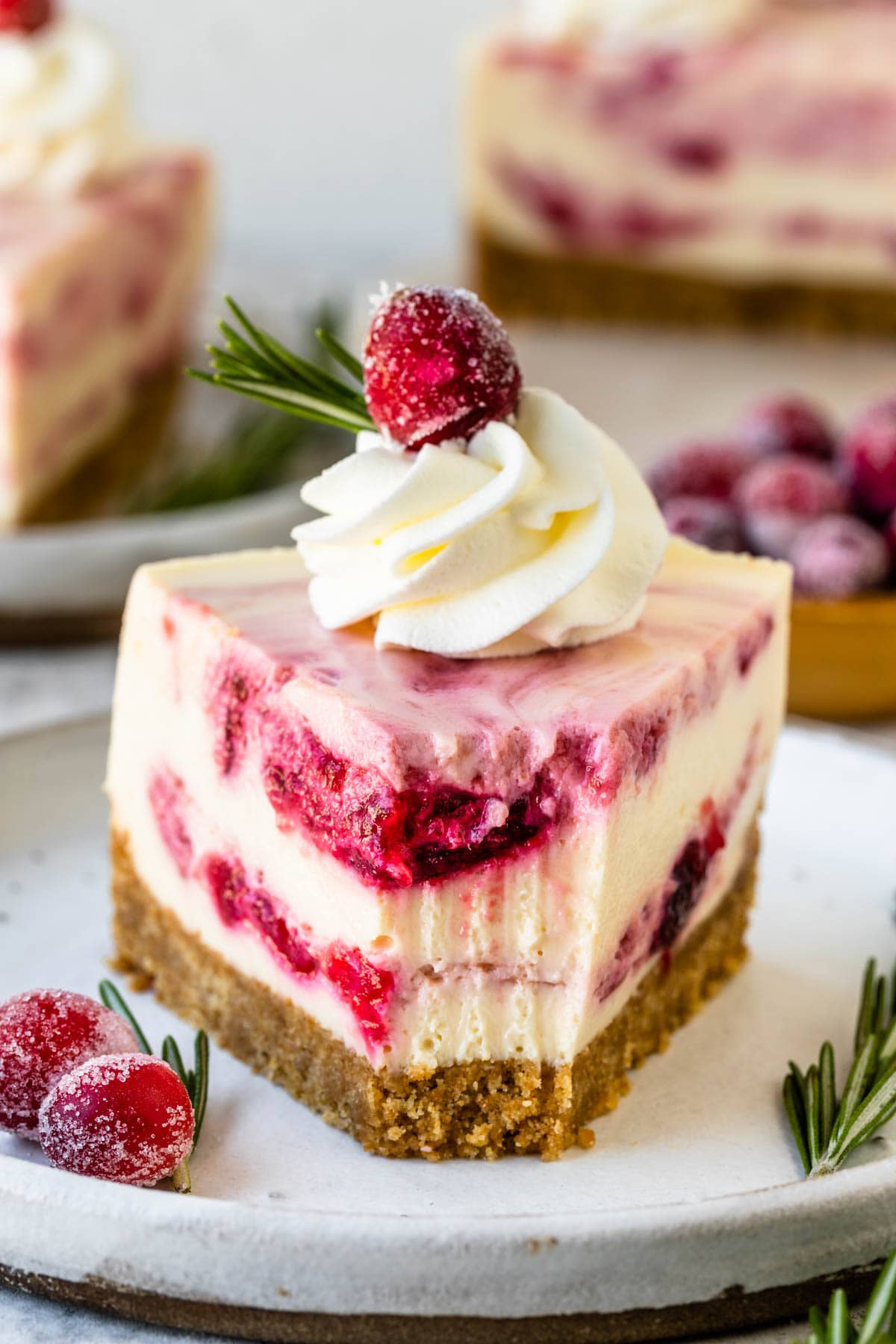 Cranberry cheesecake slice with whipped cream on top and sugared cranberries and a sprig of rosemary.