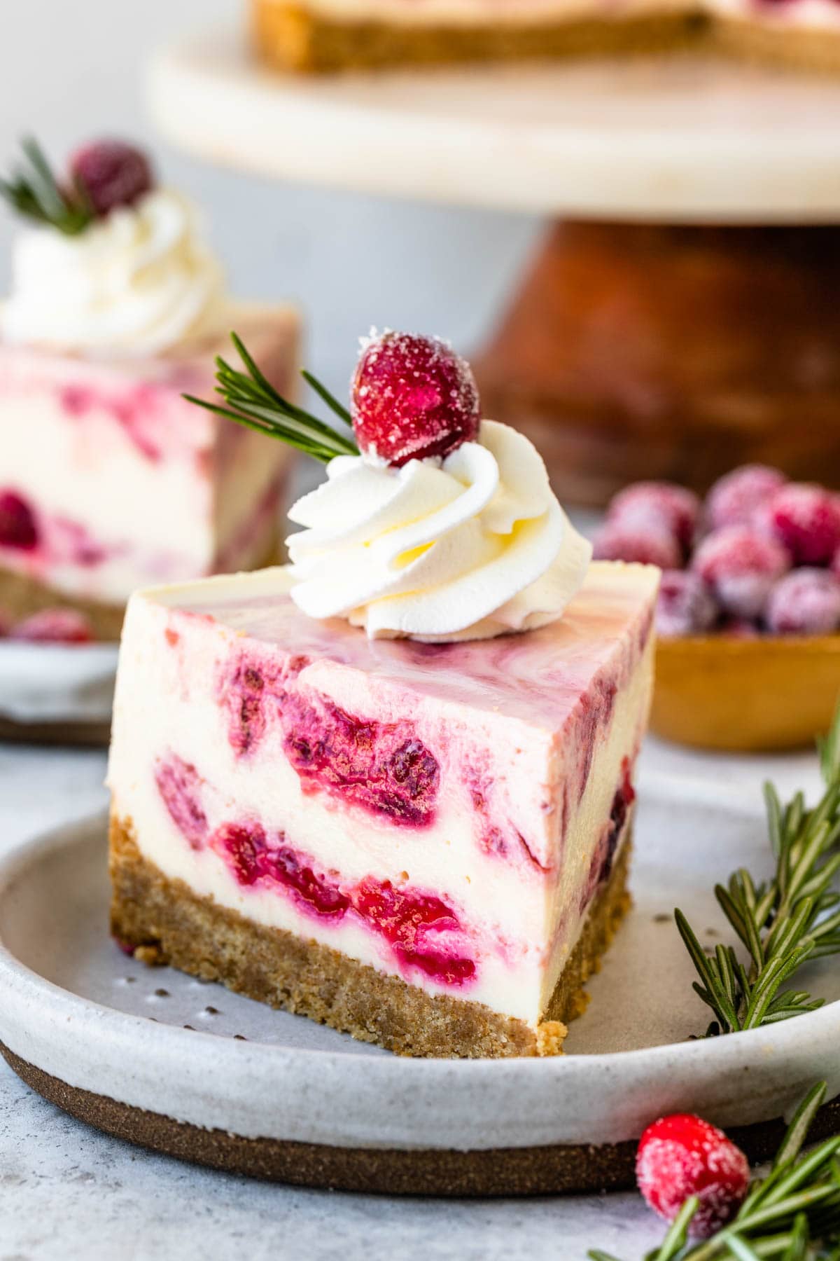 Cranberry cheesecake slice with whipped cream on top and sugared cranberries and a sprig of rosemary.