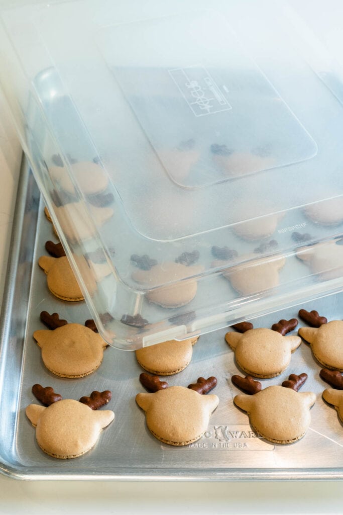 reindeer macarons in a baking tray with a lid.