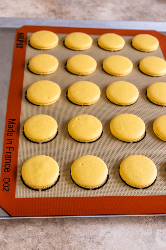 baked macaron shells.
