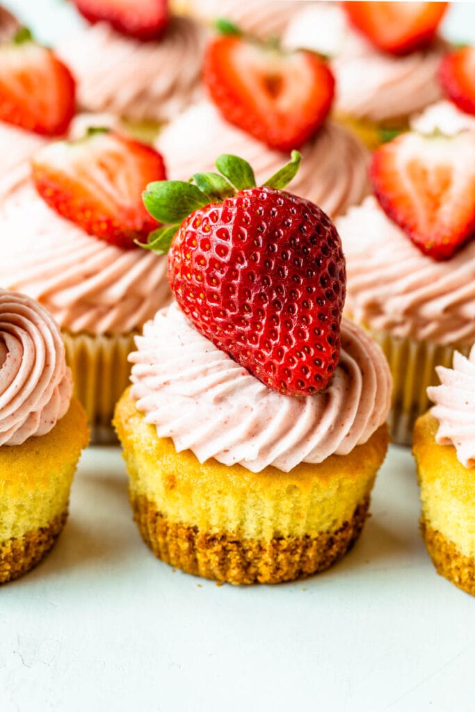 strawberry cheesecake cupcakes topped with fresh strawberries.