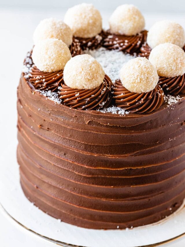 Chocolate Coconut Cake Pies and Tacos