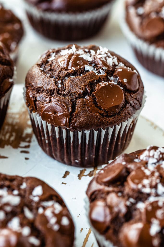 double chocolate muffins with chocolate chips and sea salt.