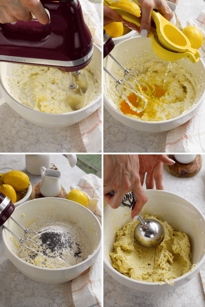 making lemon poppy seed cookie dough.