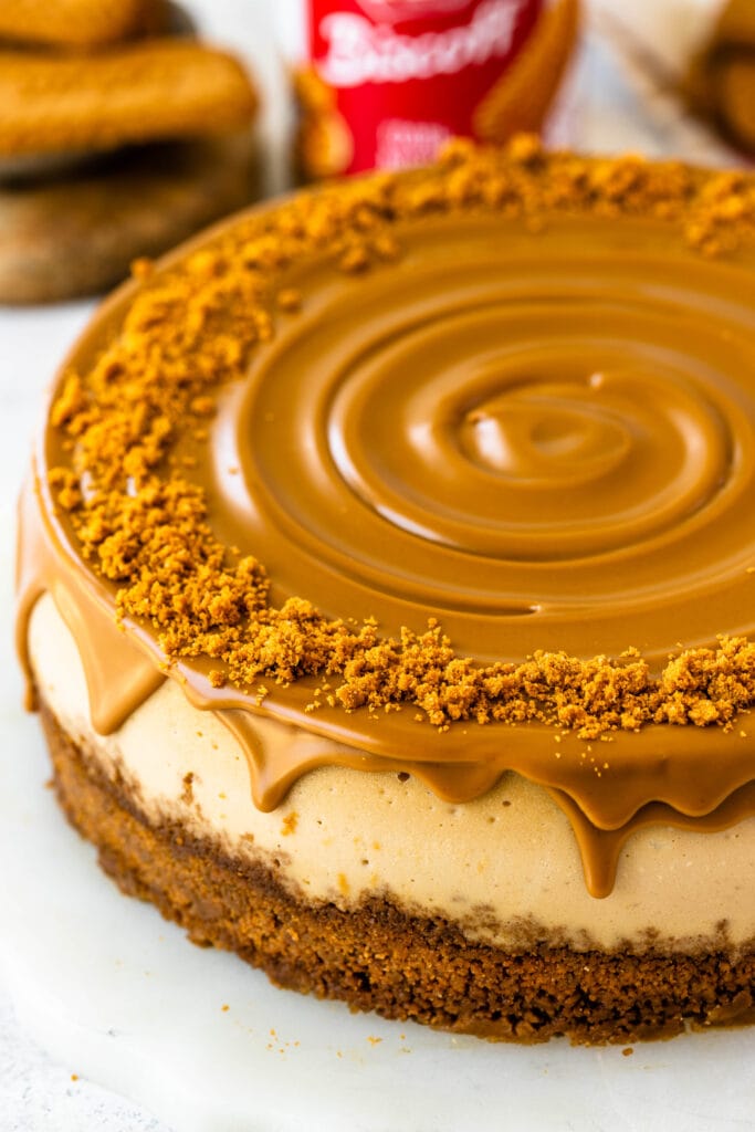 biscoff cheesecake topped with melted biscoff cookie butter.