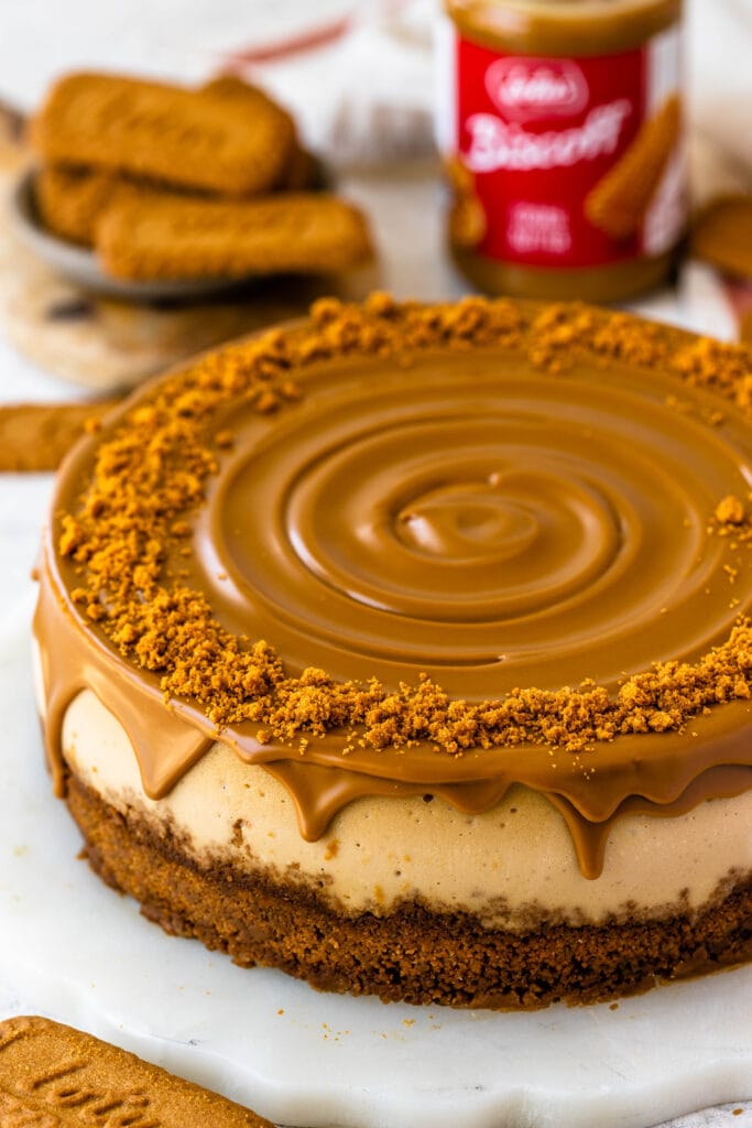 biscoff cheesecake topped with melted biscoff cookie butter.