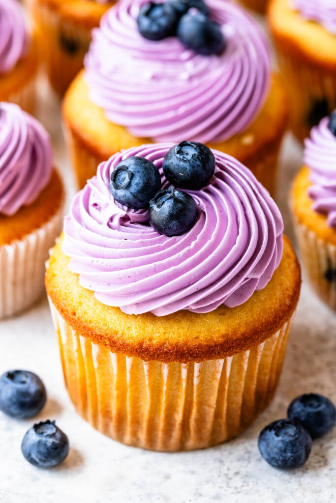 blueberry cupcake with blueberry frosting, and blueberries on top.