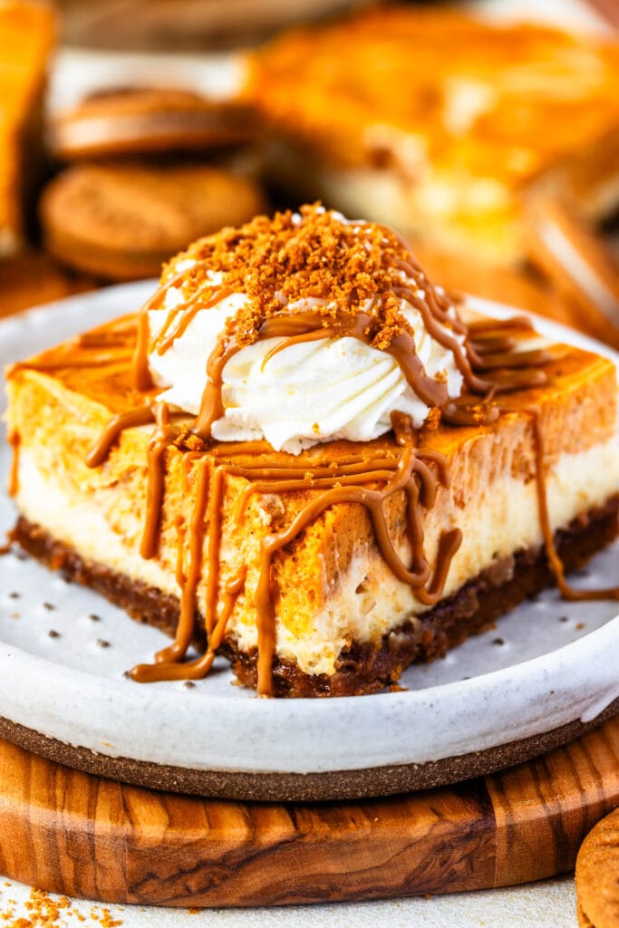 pumpkin cheesecake bar on a plate topped with whipped cream and biscoff, and cookie crumbs.