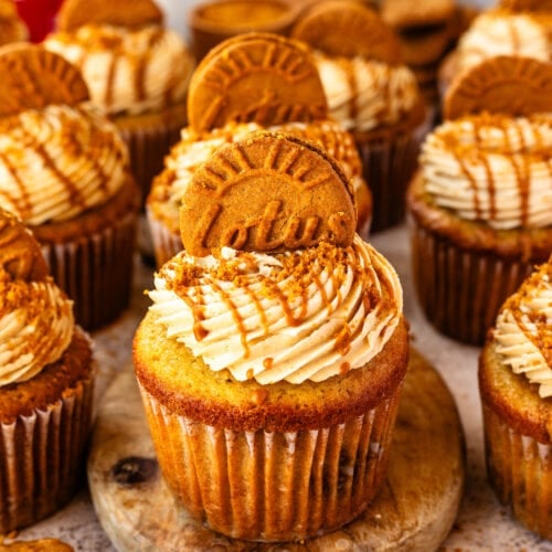 biscoff cupcakes topped with biscoff frosting, a drizzle of biscoff on top.