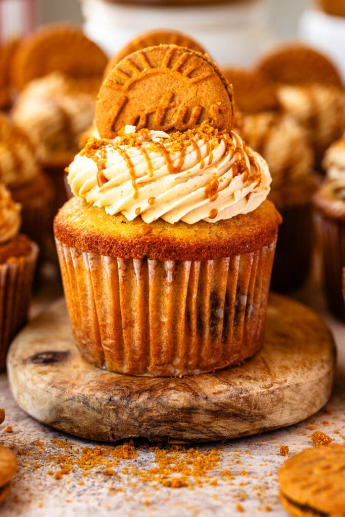 biscoff cupcakes topped with biscoff frosting, a drizzle of biscoff on top.