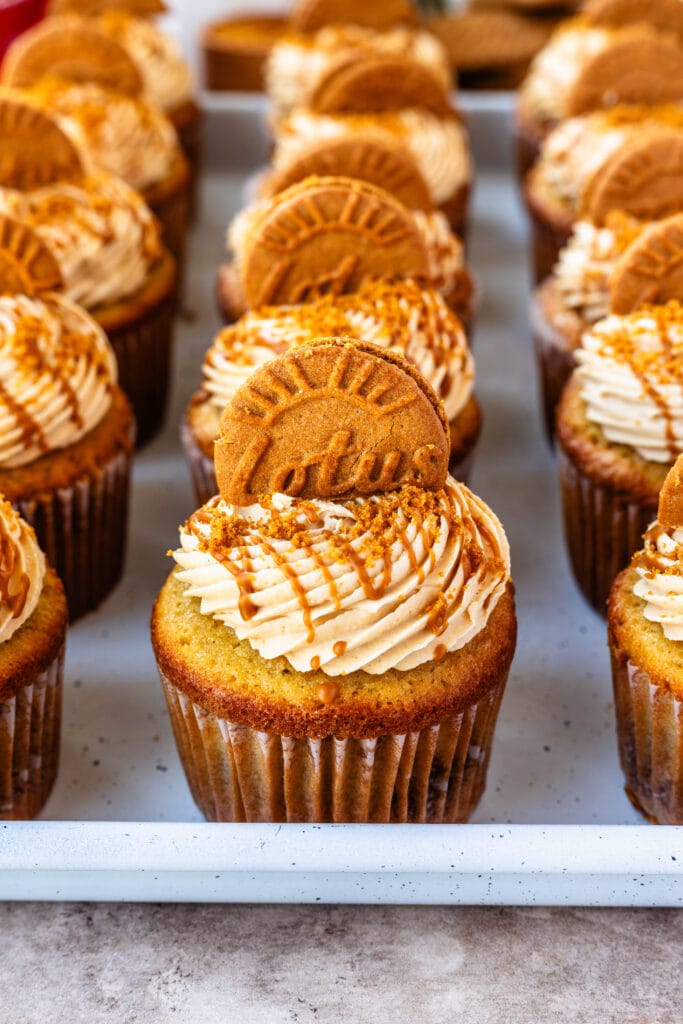 biscoff cupcakes topped with biscoff frosting, a drizzle of biscoff on top.