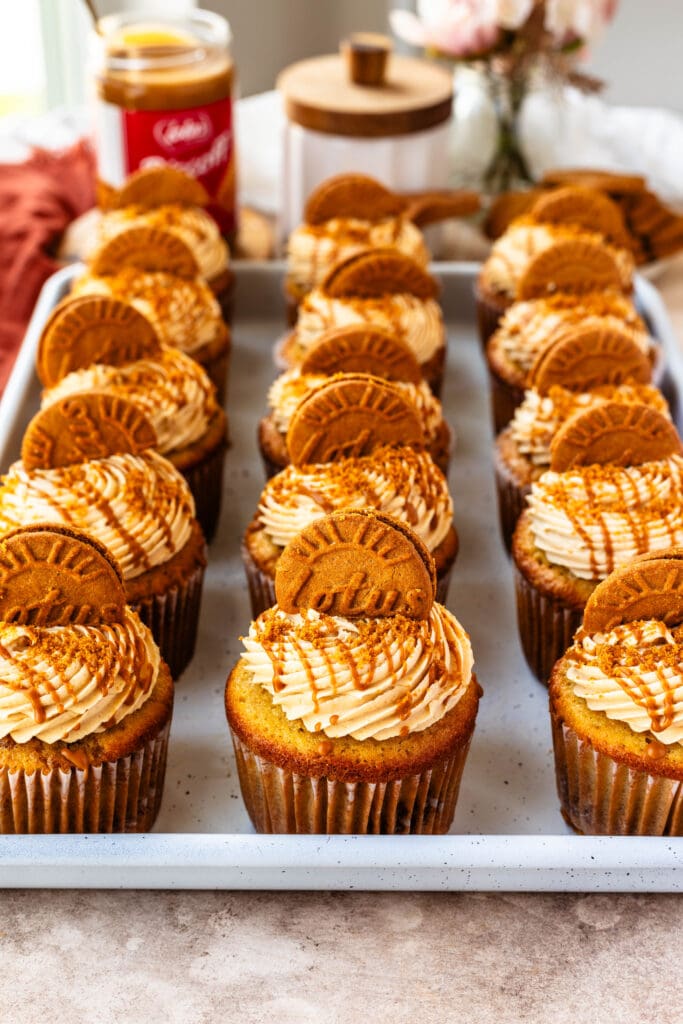 biscoff cupcakes topped with biscoff frosting, a drizzle of biscoff on top.