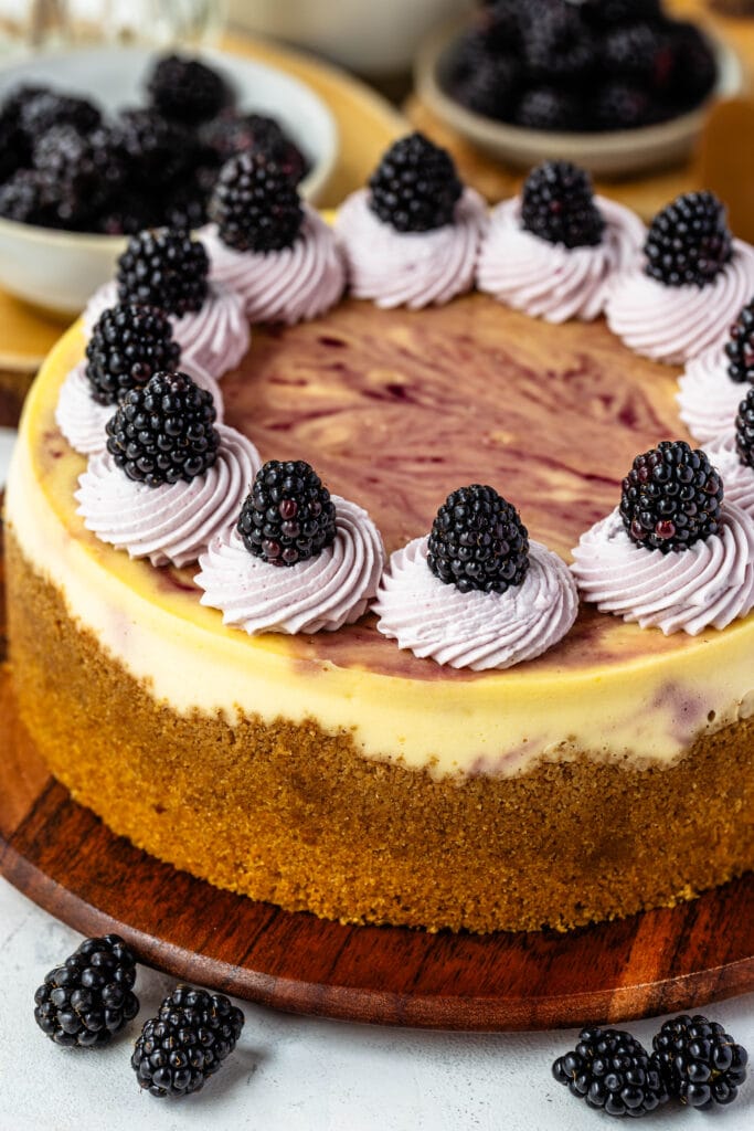 blackberry cheesecake with whipped cream and blackberries on top.