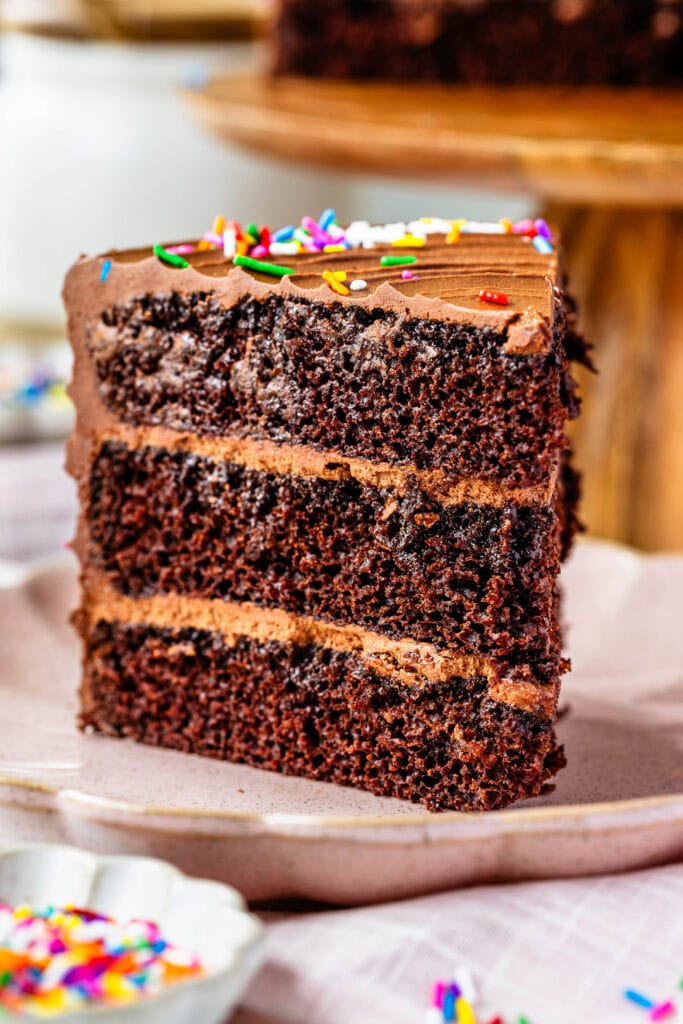 slice of chocolate cake on a plate, with sprinkles on top.