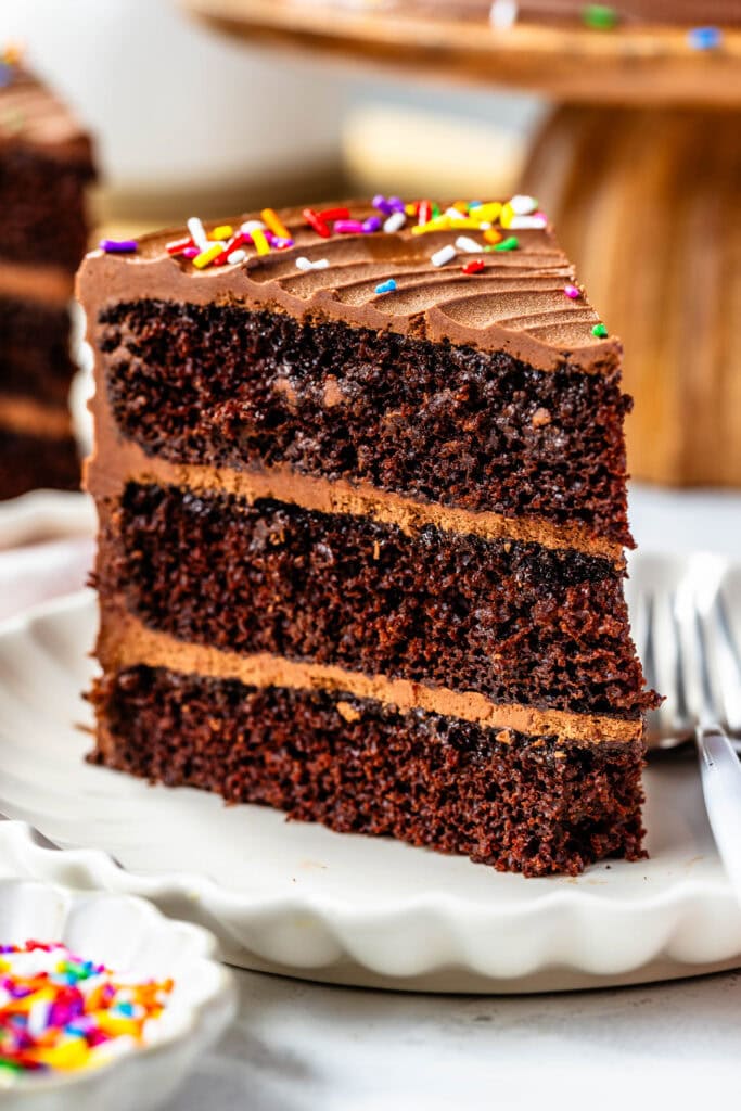 slice of chocolate birthday cake on a plate, with sprinkles on top.