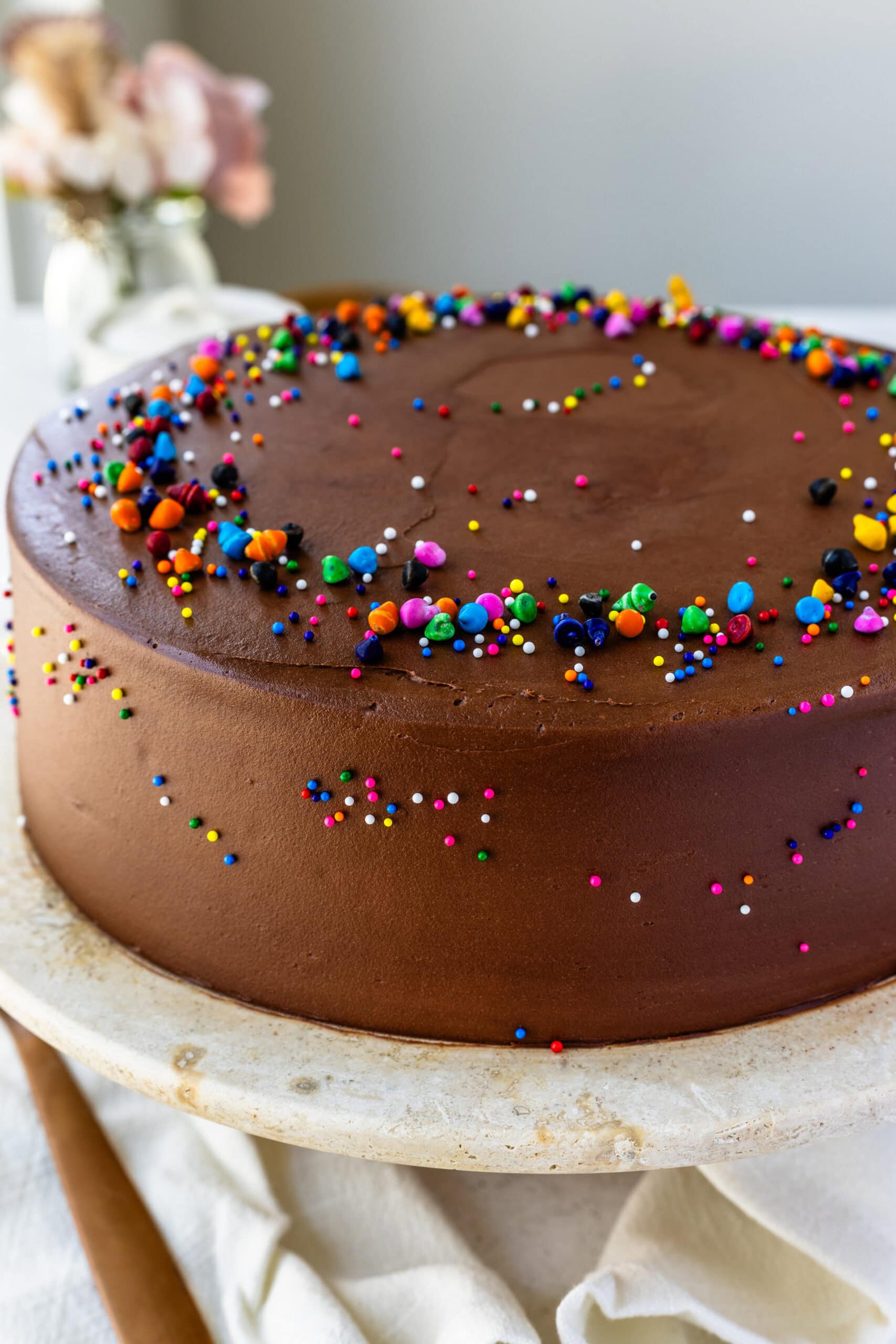 A close-up shot of a perfectly frosted round chocolate cake adorned with colorful sprinkles. The smooth, rich chocolate frosting covers the entire cake, and the vibrant sprinkles add a playful touch, scattered across the top and edges. The cake is displayed on a rustic cake stand, with a soft cloth draped beneath it, giving the image a cozy and inviting atmosphere.