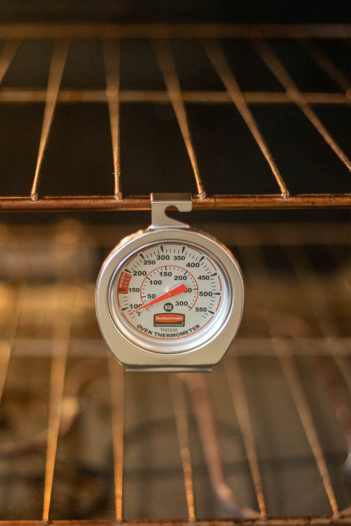 picture of oven thermometer in an oven.