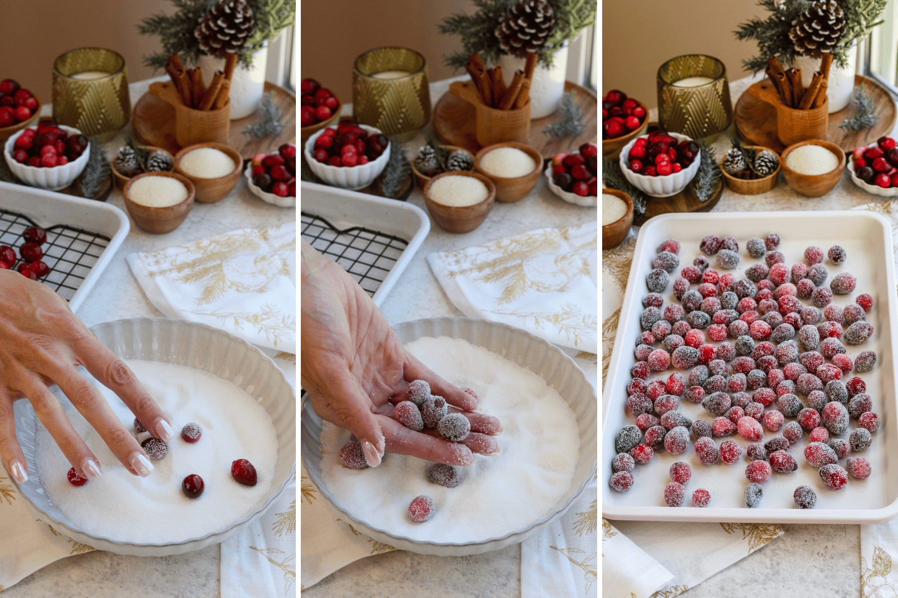 In this series of images demonstrating how to make sugared cranberries, the first image shows a person's hand rolling cranberries in a shallow dish of granulated sugar to coat them. The second image zooms in as the cranberries are being gently lifted from the sugar, highlighting their frosted appearance. The final image displays a tray filled with fully sugared cranberries drying on a parchment-lined baking sheet, ready to be used as a garnish or snack. The festive background features cinnamon sticks, cranberries, and pinecones, creating a cozy holiday atmosphere.