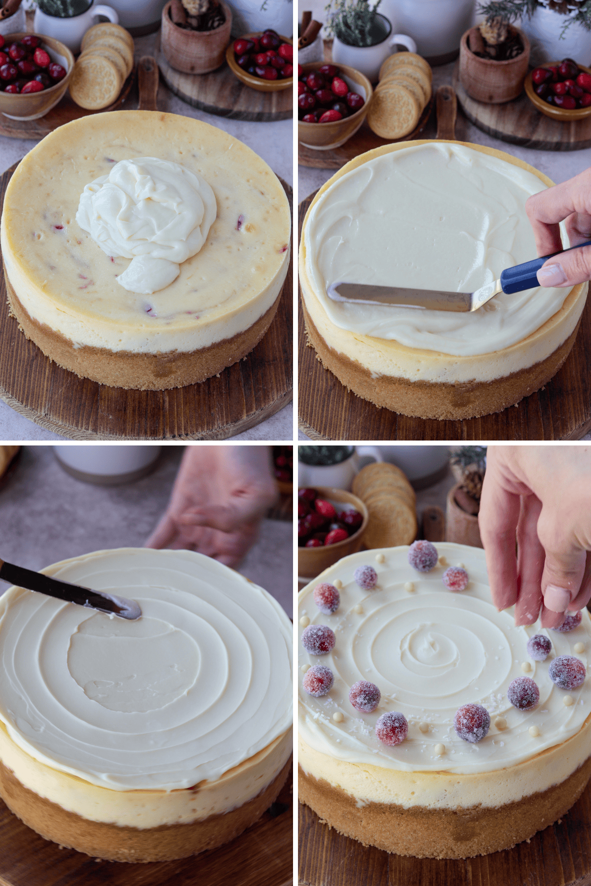 Panel with four images. The first image shows a baked cranberry cheesecake with a dollop of white cream topping placed in the center. The second image captures an offset spatula spreading the cream smoothly over the top of the cheesecake. The third image displays the spatula creating a swirl pattern on the cream topping. The fourth image shows sugared cranberries and white chocolate pearls being placed along the edge of the cheesecake as decorative toppings, creating a festive look.