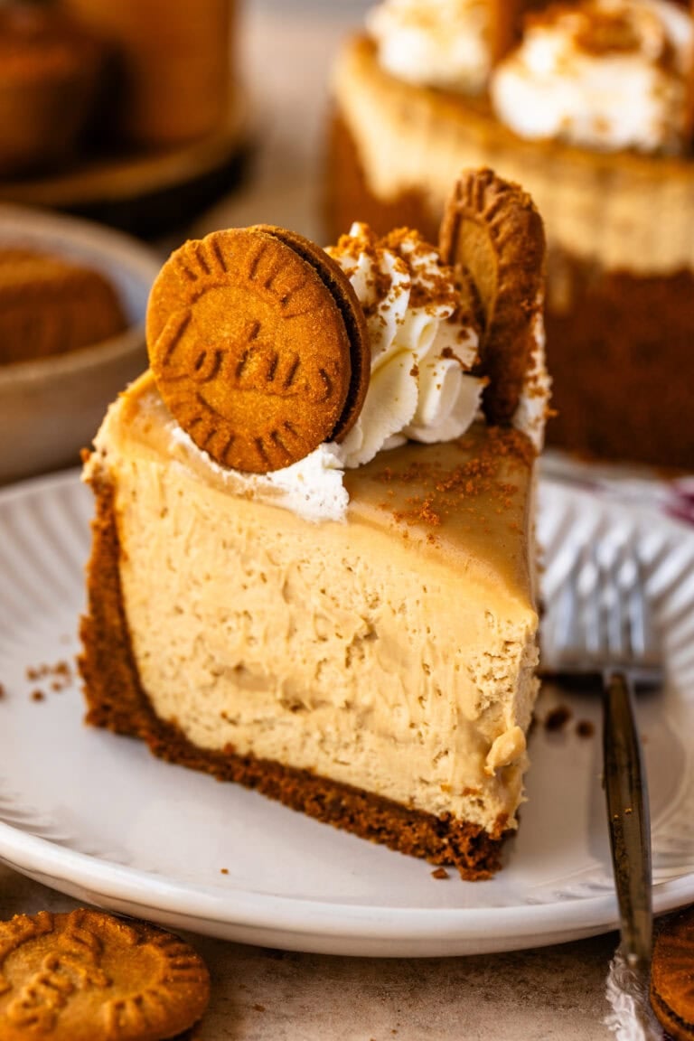 A close-up slice of no-bake Biscoff cheesecake topped with whipped cream, Biscoff cookies, and cookie crumbs, showing its creamy texture and crumbly cookie crust.