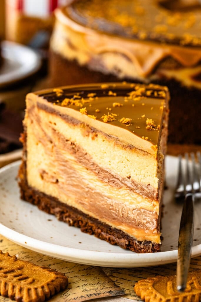 A slice of beautiful Chocolate Biscoff Cheesecake with a biscoff white chocolate ganache atop a white porcelain plate and decorated with biscoff cookie crumbs.